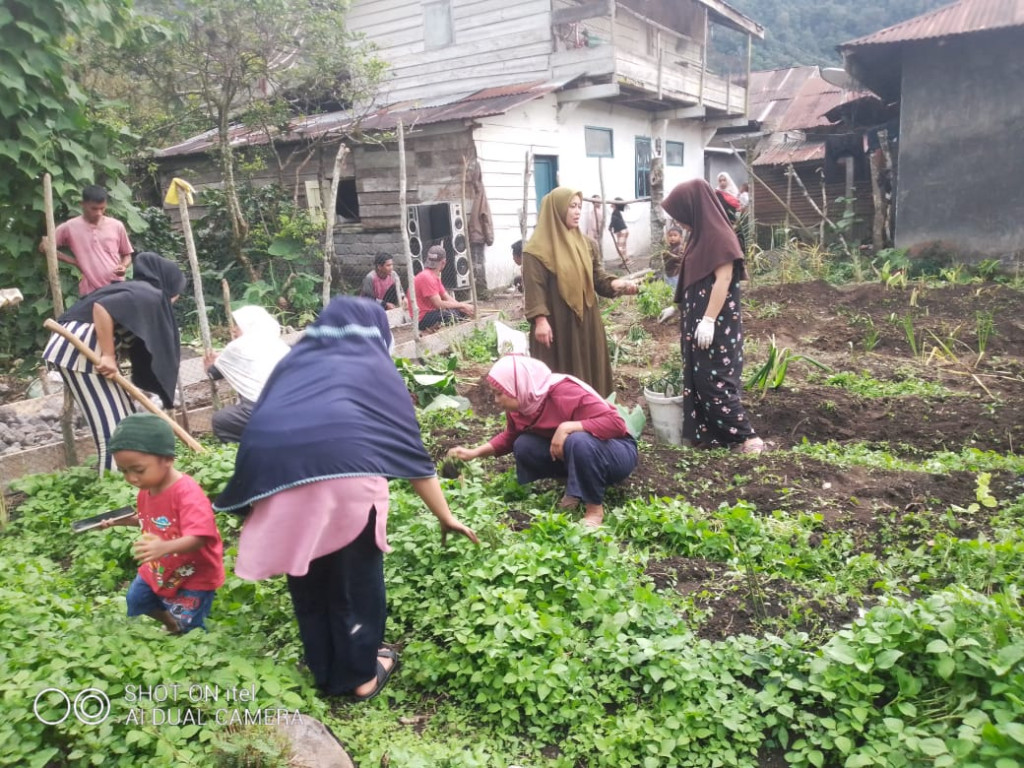 Kegiatan ibu PKK. Penanaman di lahan toga